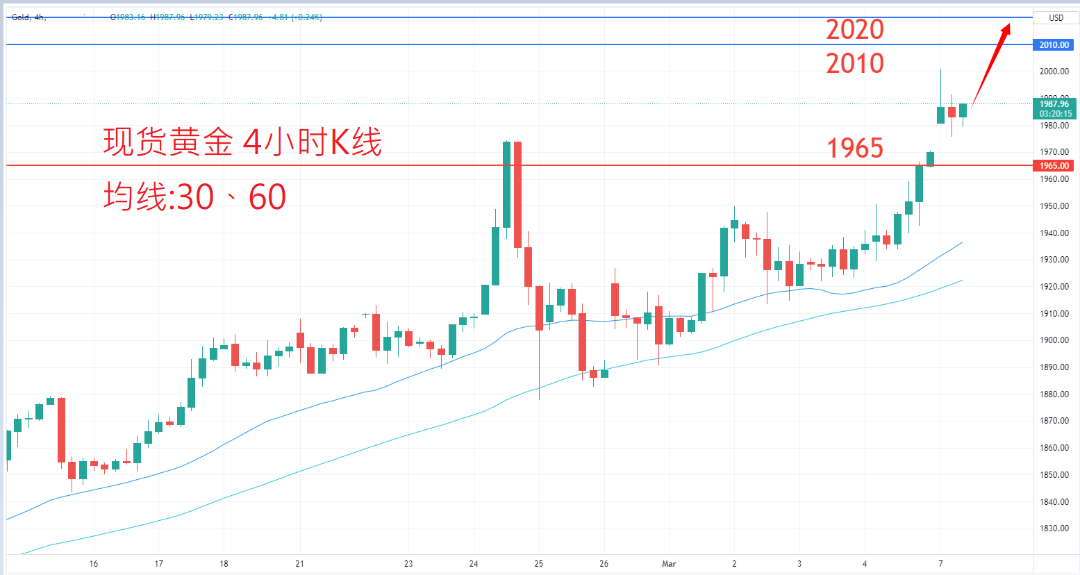 商品类别|日内关注焦点				