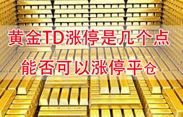 黄金TD涨停