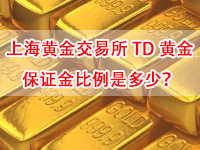 上海黄金交易所td黄金保证金比例是多少？