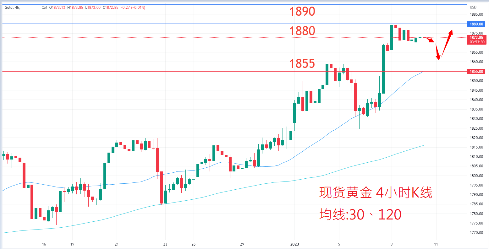 商品类别|日内关注焦点				