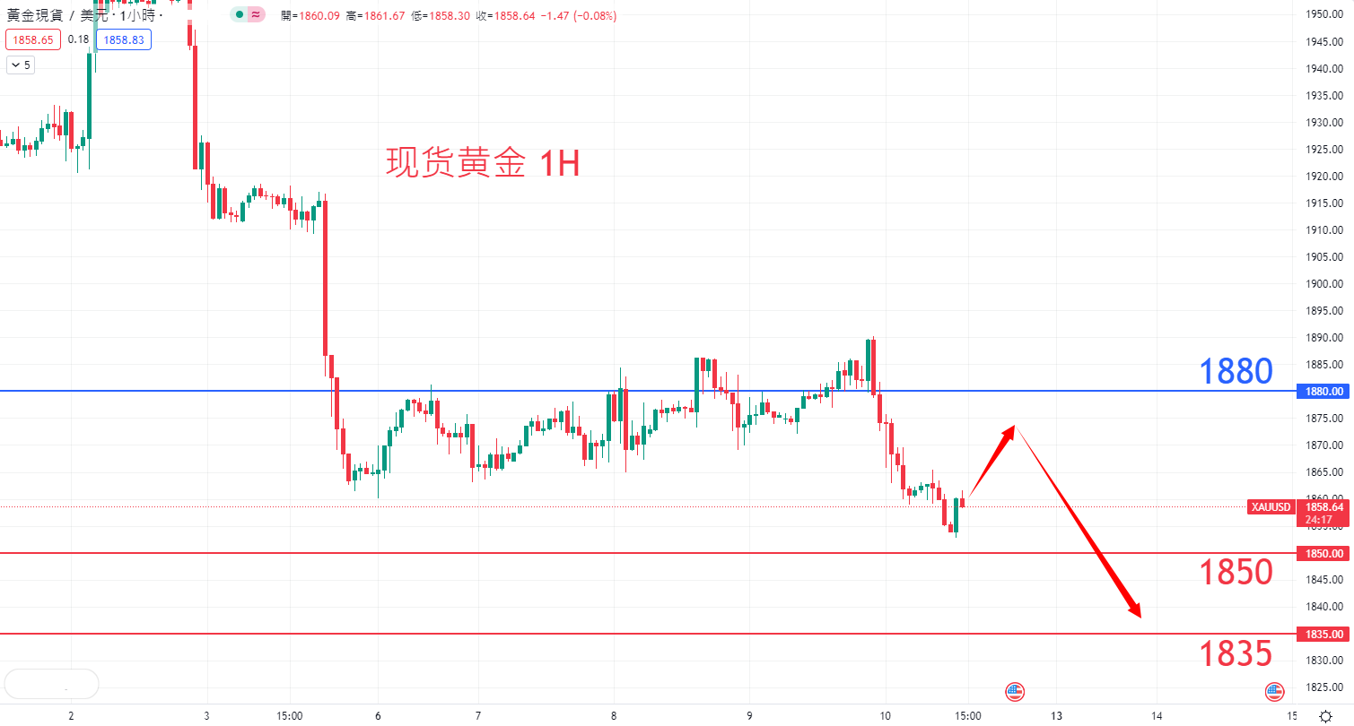 商品类别|日内关注焦点				