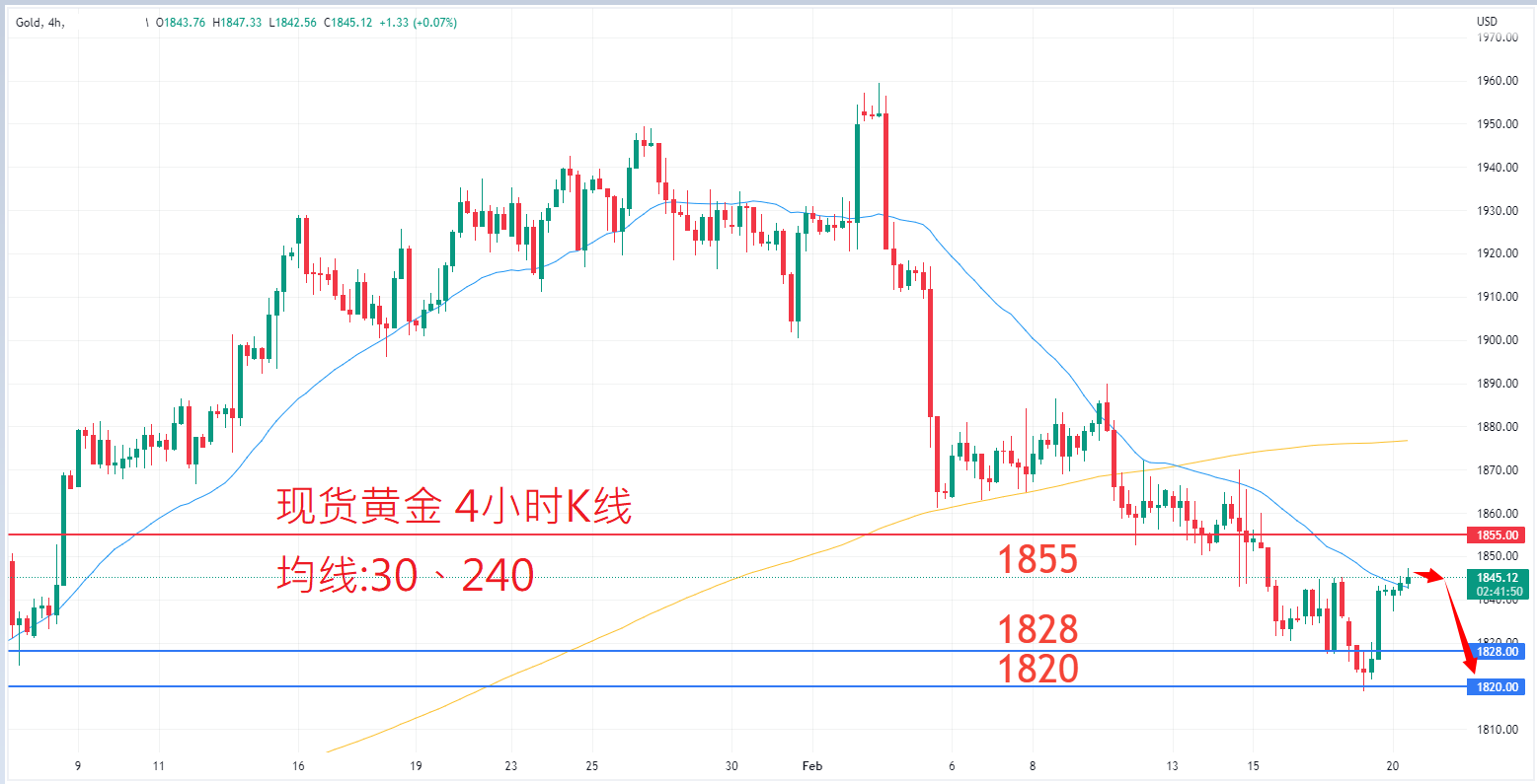 商品类别|日内关注焦点				