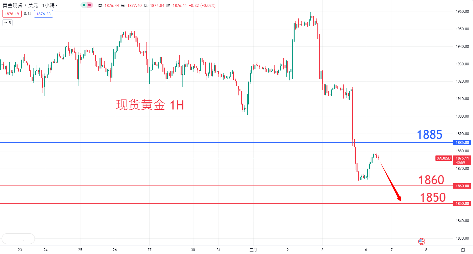 商品类别|日内关注焦点				