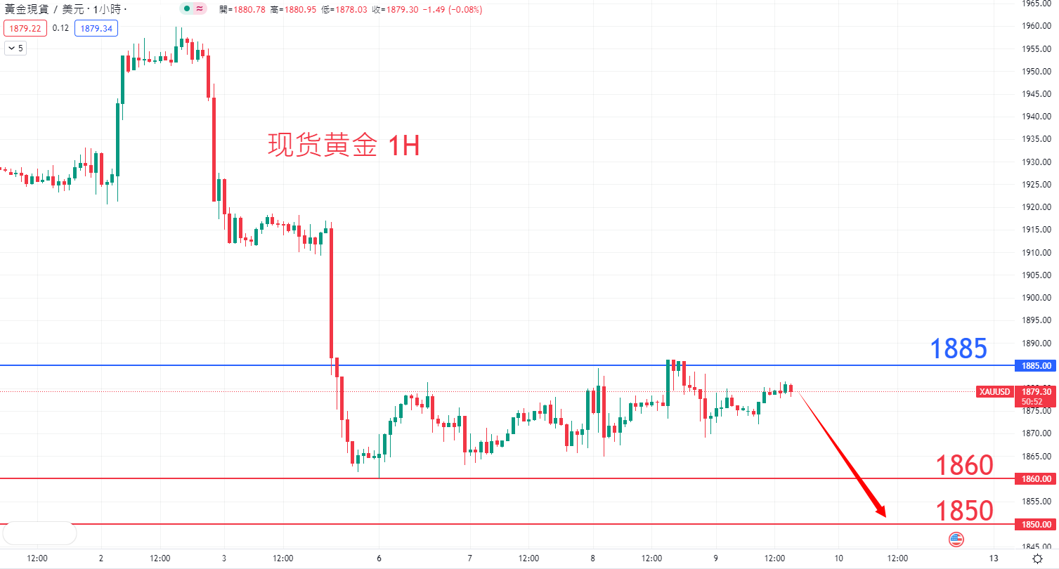 商品类别|日内关注焦点				