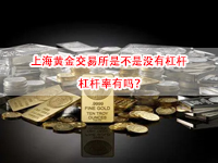上海黄金交易所是不是没有杠杆 杠杆率有吗？