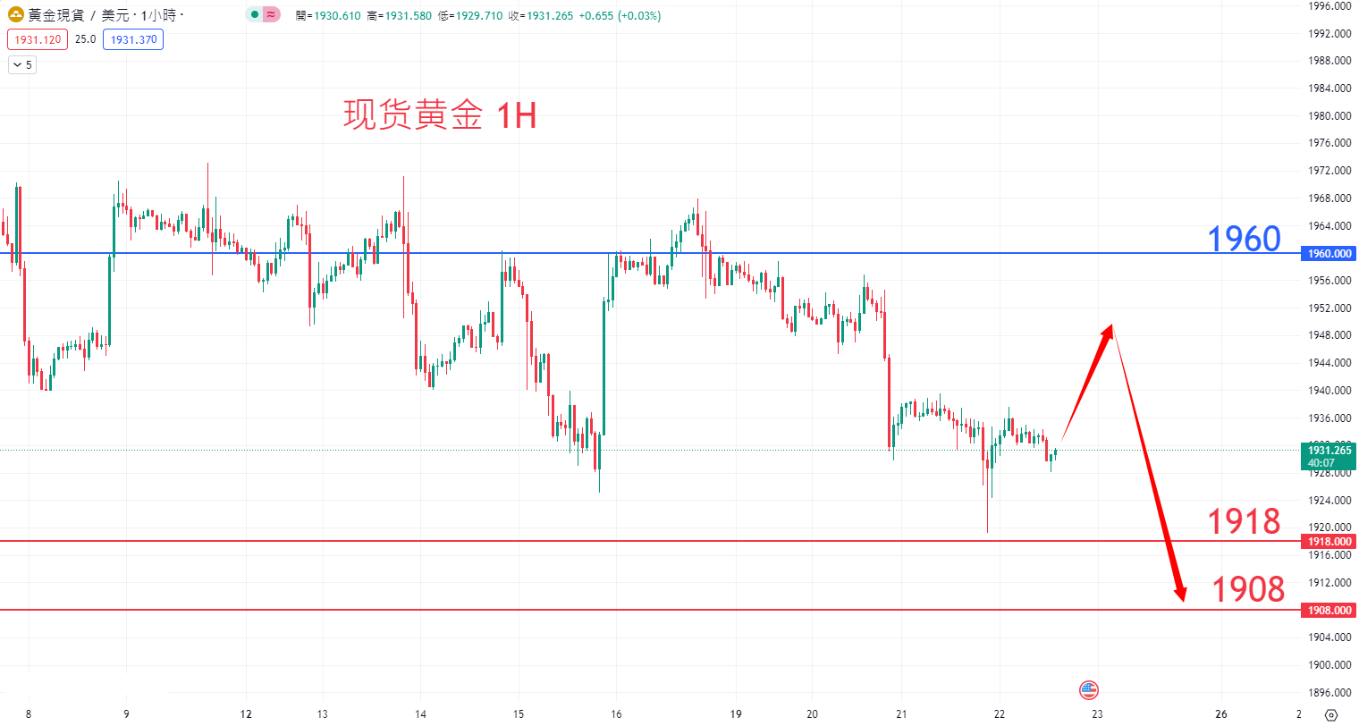 商品类别|日内关注焦点				