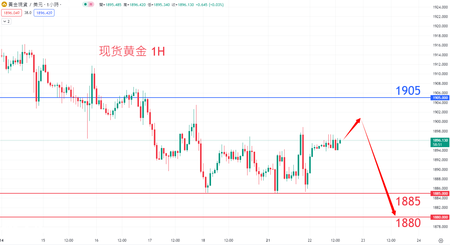 商品类别|日内关注焦点				