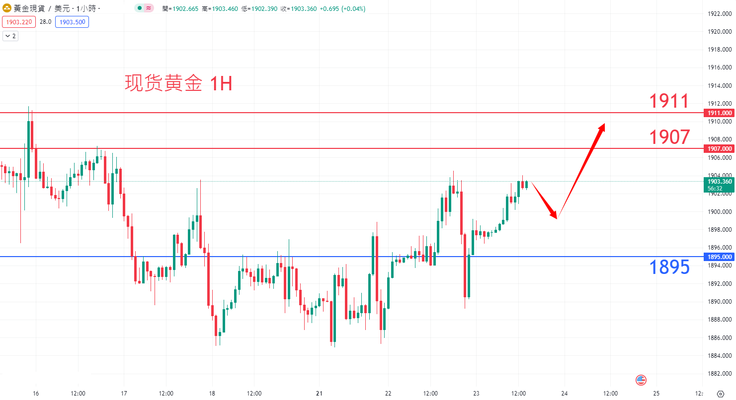 商品类别|日内关注焦点				